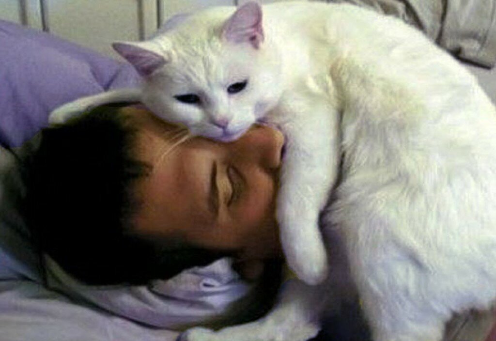 История про температурку