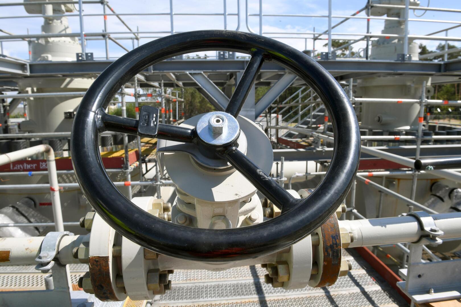 «Очень жесткая» Так описал свою встречу с Путиным канцлер Австрии Карл Нехаммер