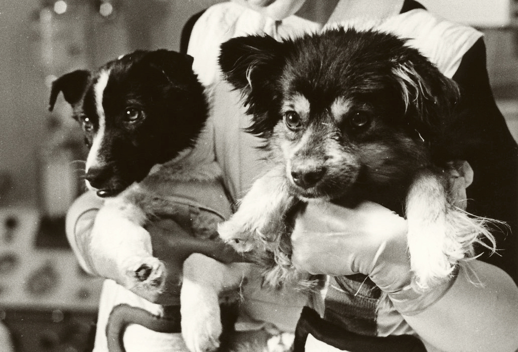 День космонавтики: Ю.А. Гагарин, исторические события