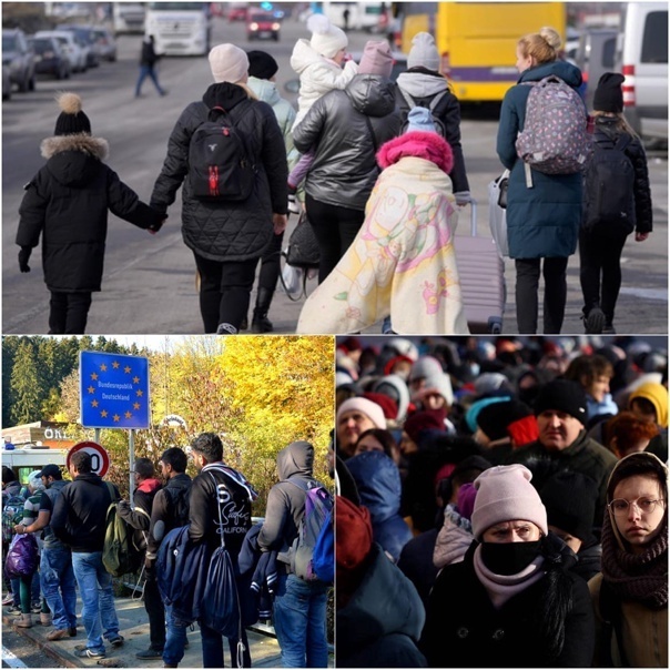 Беженцы из Украины высказали свое недовольство. Граждане Украины требуют социальную выплату