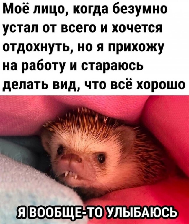 Всякие картиночки