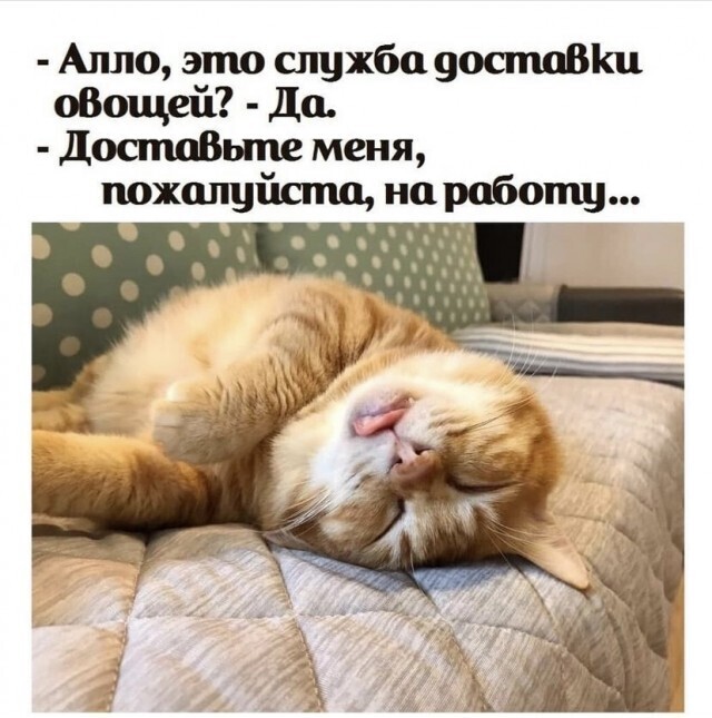 Всякие картиночки