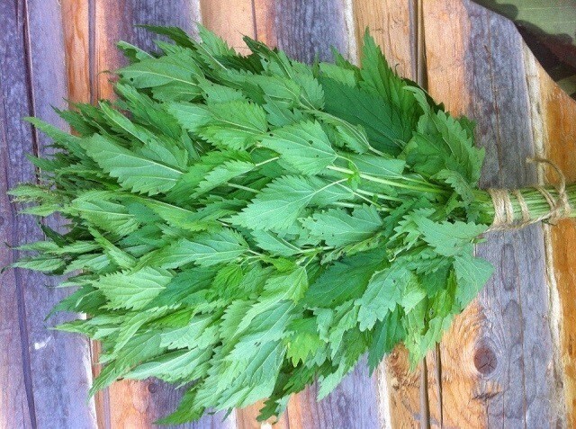 Веник для бани: какой выбрать.