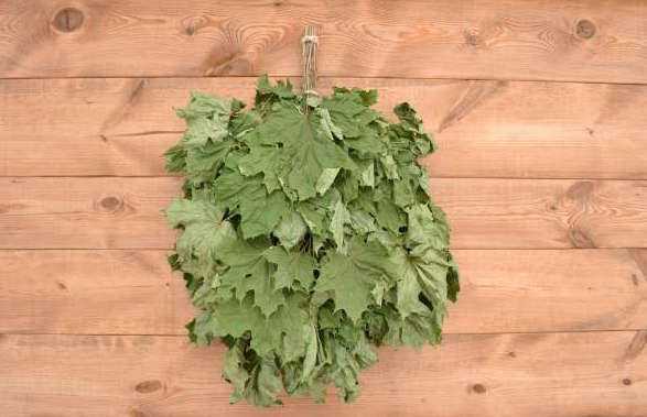 Веник для бани: какой выбрать.