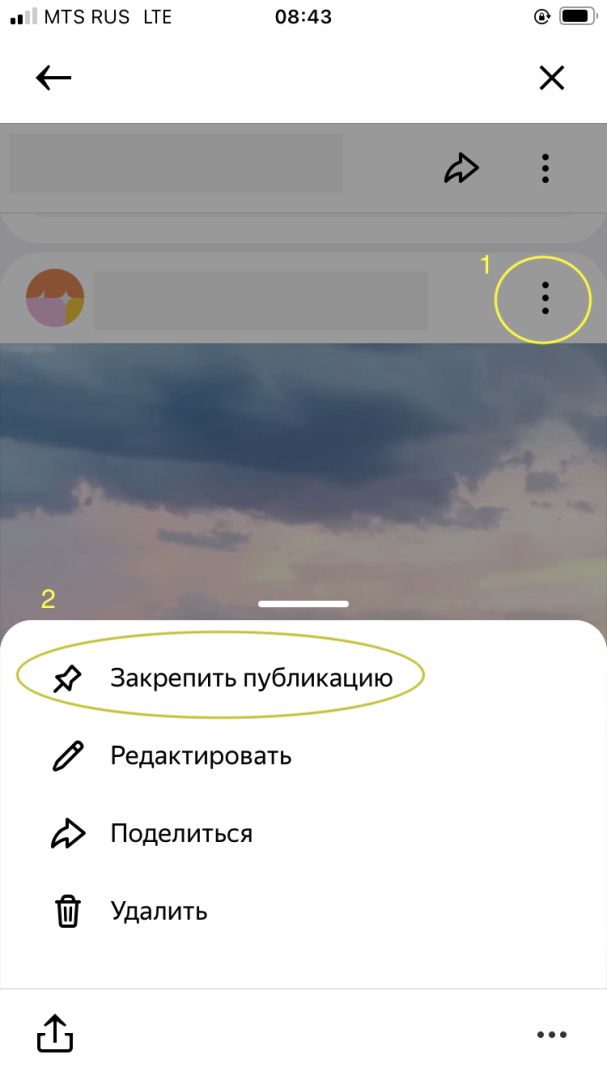 Новые инструменты для блогера на Яндекс Дзен