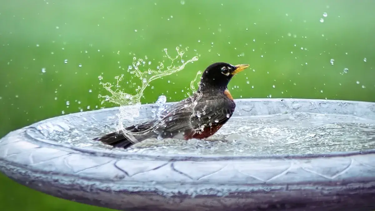 Чистый четверг 21 апреля 2022: смысл и традиции праздника. Что можно делать, что нужно делать и что нельзя – почему купаются до восхода солнца