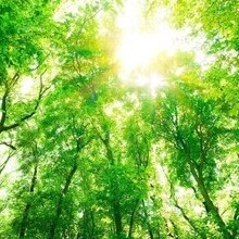 Сергей, г. Ульяновск