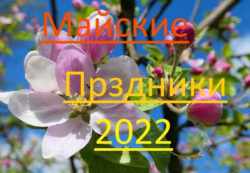 Майские праздники 2024 5 дневная рабочая. Майские праздники 2022. Отдых на майские 2022. Праздники в мае отдых 2022. Отдых в мае 2024.