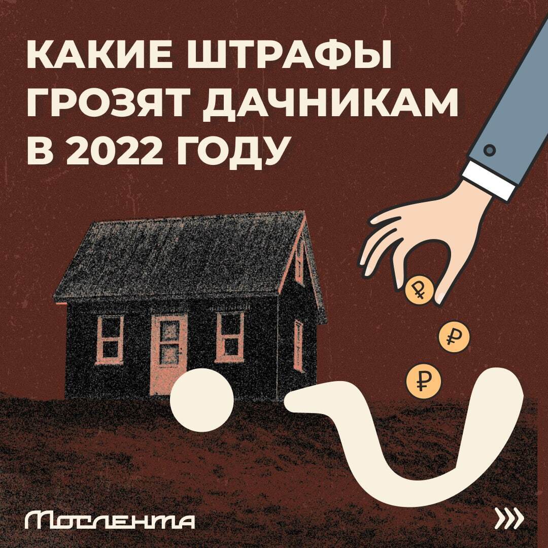 Дачный сезон не за горами, а это значит, что в скором времени все ударятся в шашлыки, пикники и грядки