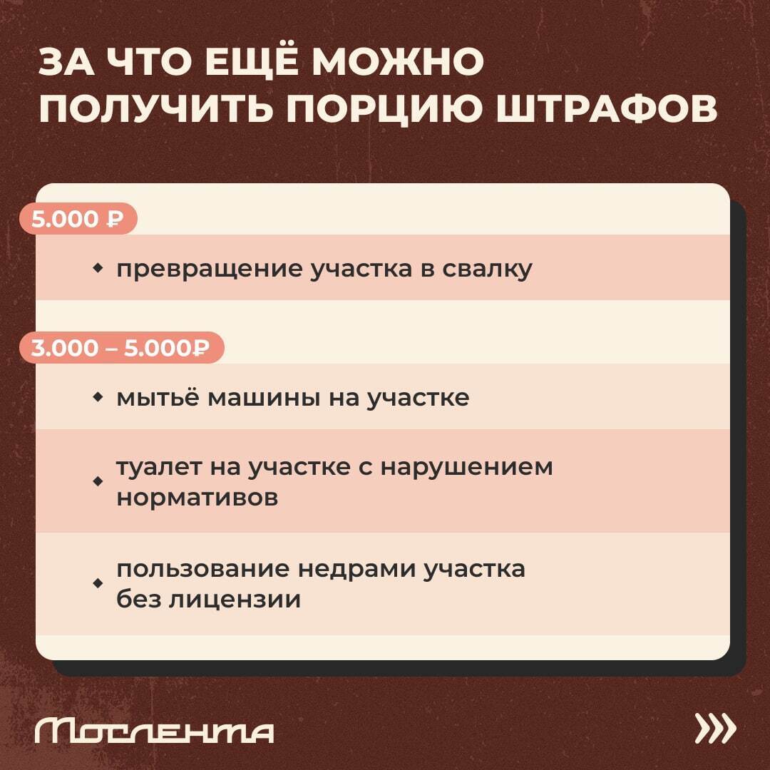 Дачный сезон не за горами, а это значит, что в скором времени все ударятся в шашлыки, пикники и грядки
