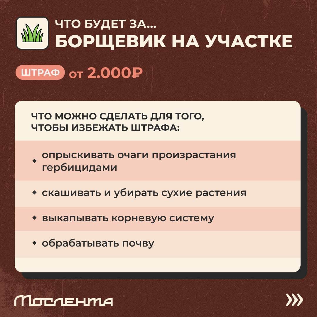 Дачный сезон не за горами, а это значит, что в скором времени все ударятся в шашлыки, пикники и грядки