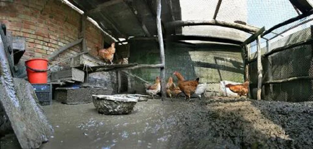 Ракета класса Земля-Земля. Удар по птицефабрике. Как все было