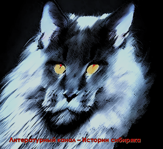 Кот - путешественник между мирами. Реальная история