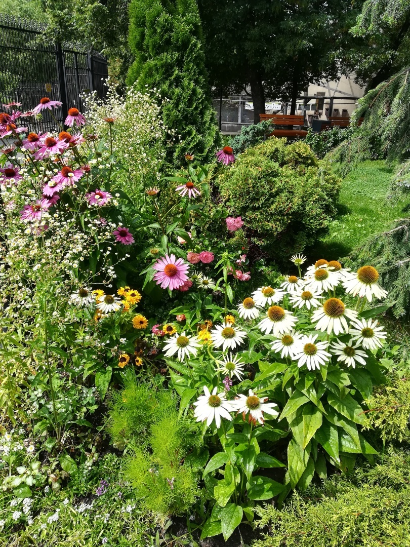 Майские праздники 2022: Минтруд официально разъяснил как отдыхаем на майские выходные. Какой календарь на май?