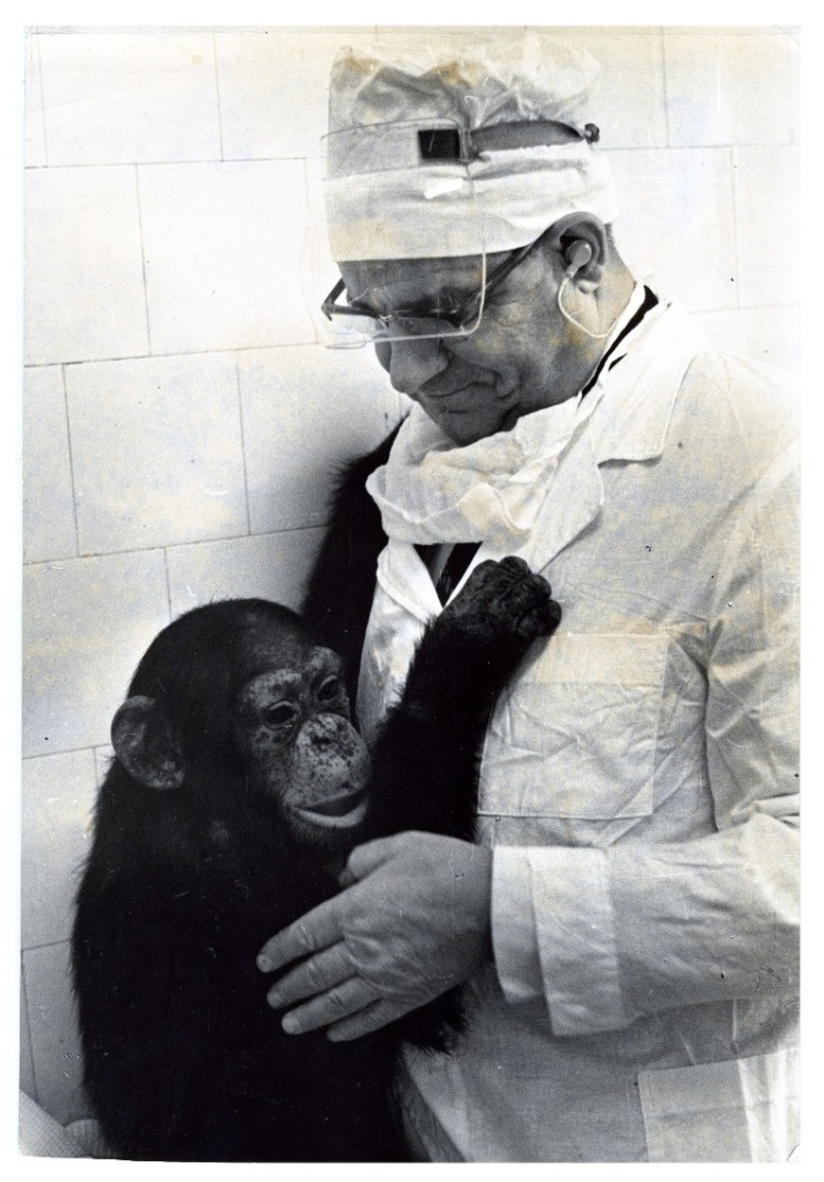 Необъяснимая агрессия обезьян. Что это — месть людям или сбывающееся пророчество Аллана Чумака? Редко кто отваживается досмотреть видео до конца (18+)