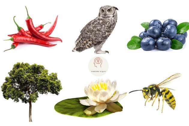 Тест по картинке, который раскроет яркие особенности Вашего характера и поведения. Начнем и узнаем о себе