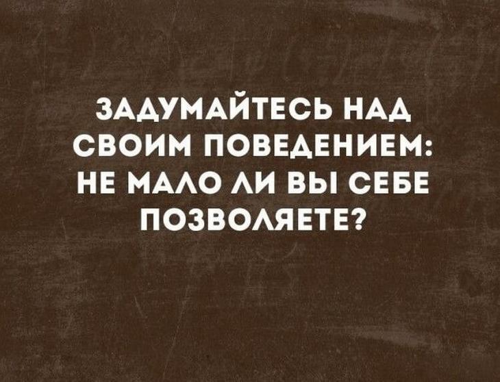 Несколько забавных историй для отличного настроения