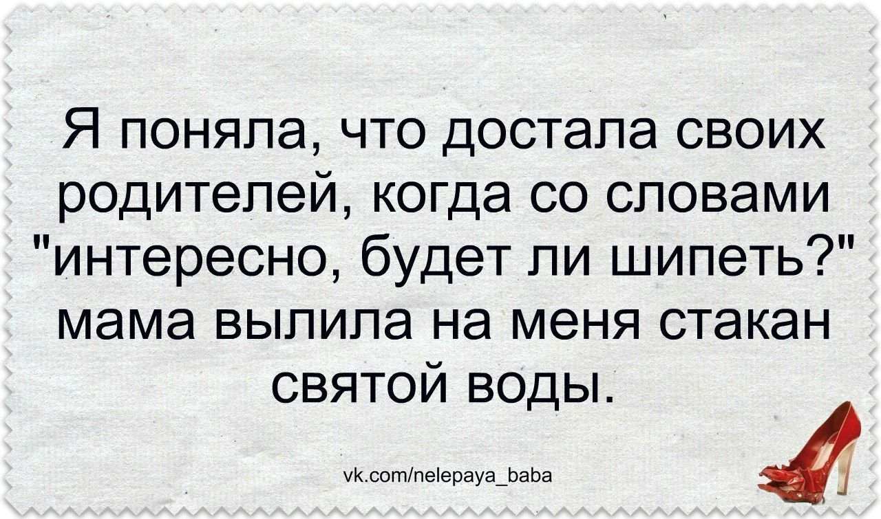 Несколько забавных историй для отличного настроения