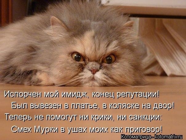 О санкциях с улыбкой