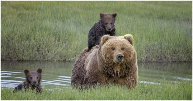Как Вы относитесь к храпу?