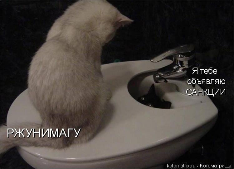 О санкциях с улыбкой