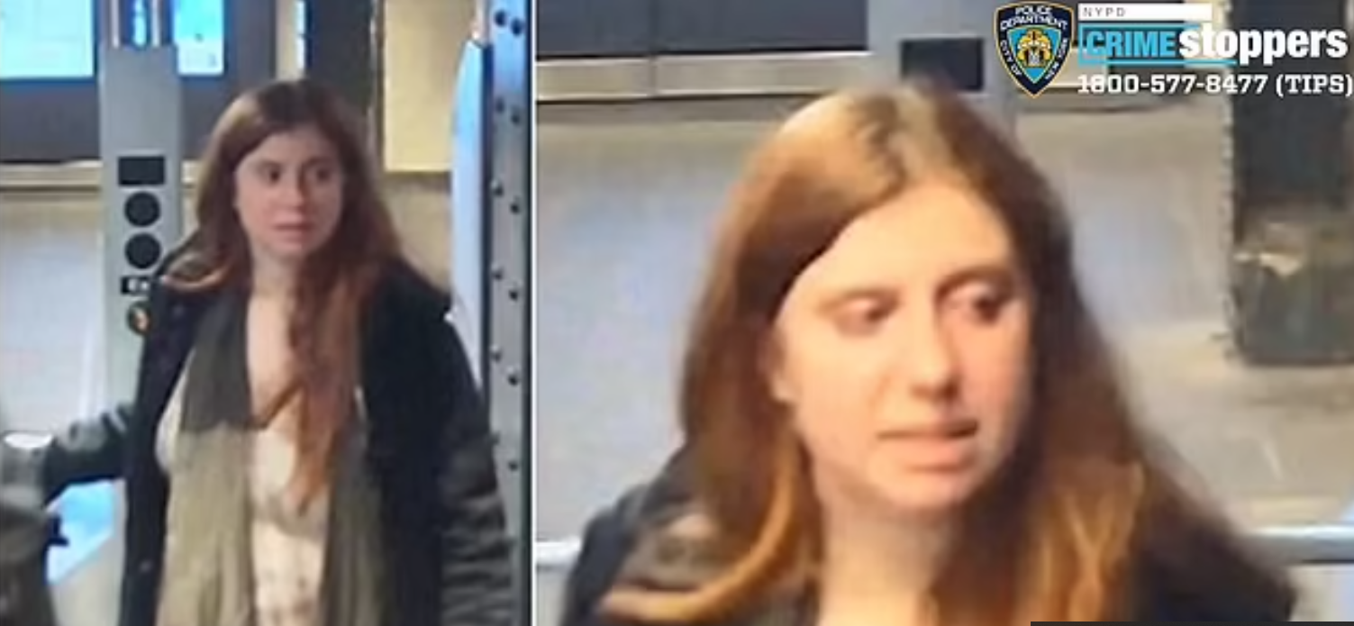 Гламурная дочка короля ассенизаторов Нью-Йорка расправилась с беспомощной старушкой. Удастся ли покарать преступницу? (фото, видео + теория заговора)