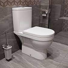 Страсти по унитазу