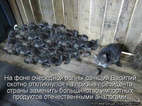 О санкциях с улыбкой