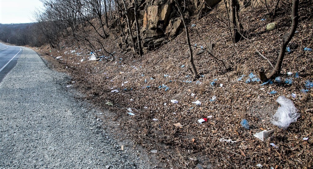 Чем дальше в лес, тем больше дров???