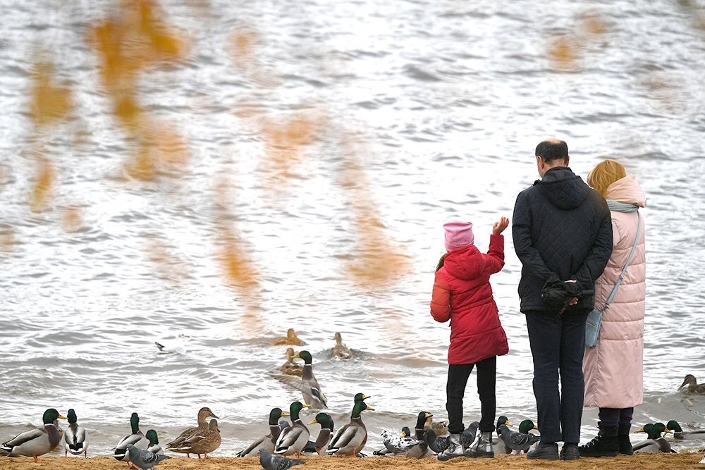 Что такое «бесшовная» поддержка семьям с детьми от 3 до 17 лет.