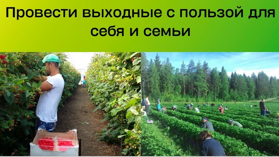 Наши планы к воплощению этим летом