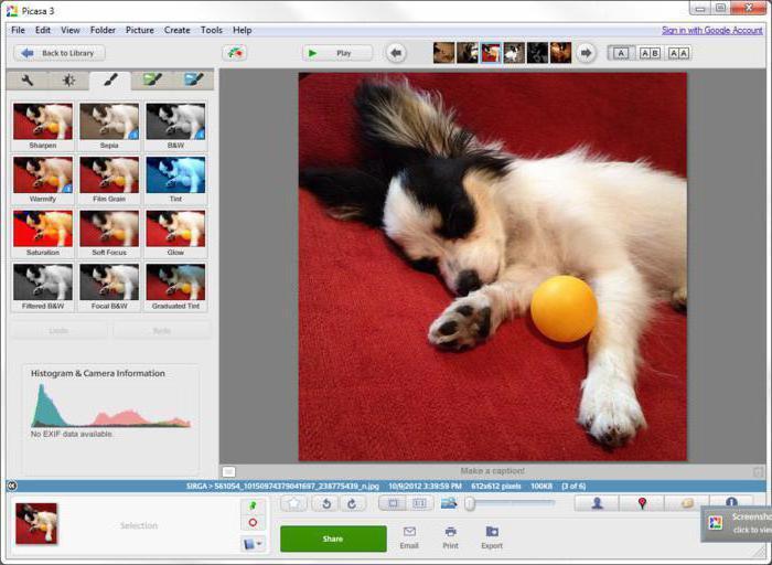 Picasa 3 - программа для Windows - старший брат Инстаграма