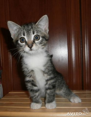 Мебель, какой она может быть