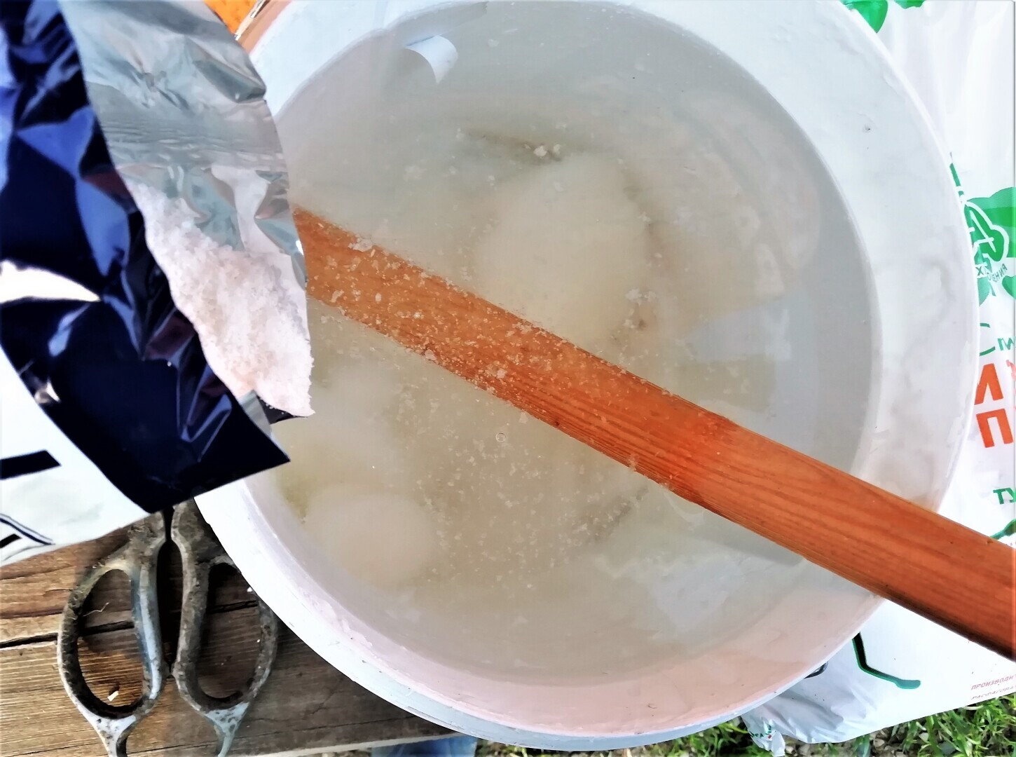 4 нюанса при покраске деревьев известью, которые нужно учитывать