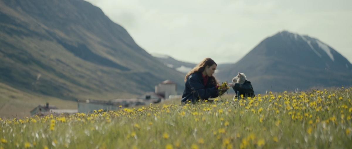 5 необычных фильмов ужасов