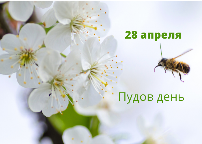 День в календаре. 28 апреля Пудов день по народному календарю.