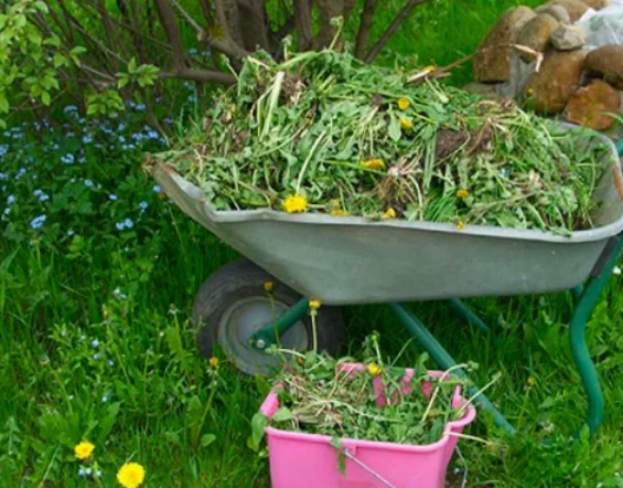 Способ забыть о сорняках на грядках на весь сезон, без всяких триммеров и прополки. Один раз сделал — отдыхай