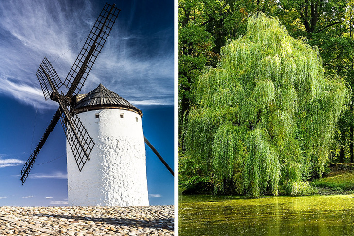 Попробуйте угадать названия популярных литературных произведений лишь по двум фотографиям