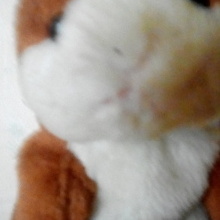 Наумов Александр Михайлович, г. Москва