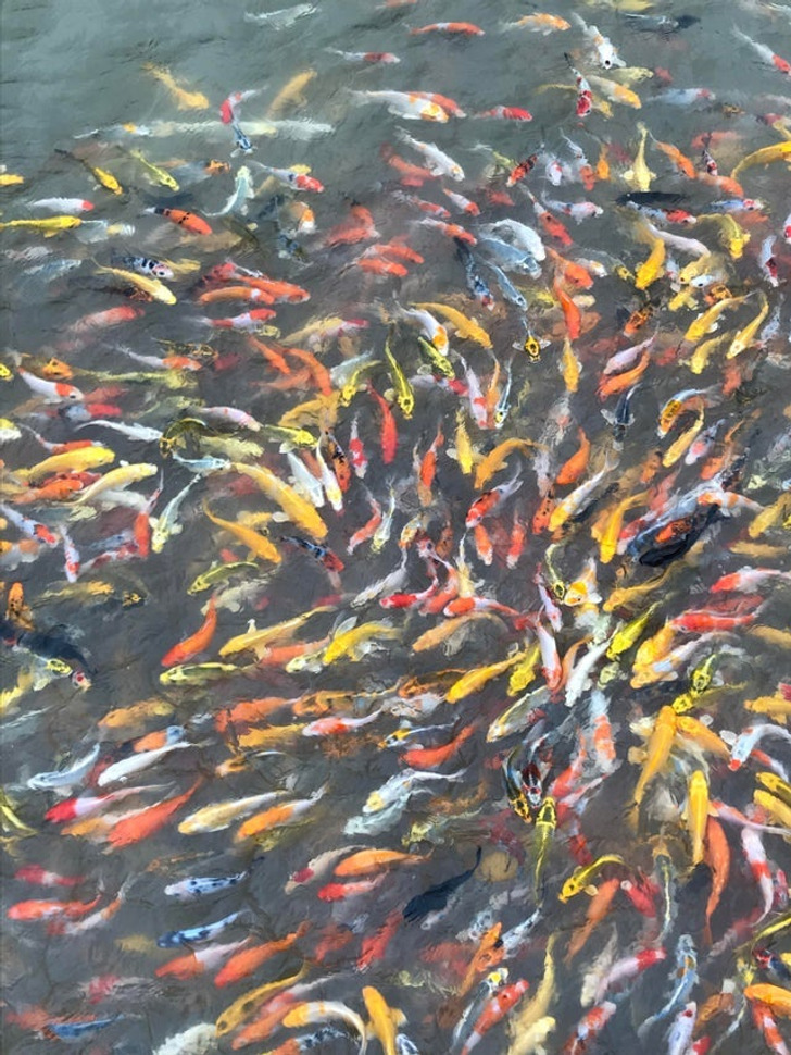 10+ современных фотографий, которые выглядят как шедевры эпохи Ренессанса