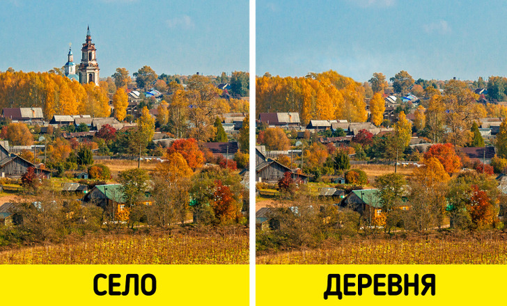 10+ пар слов, которы мы часто путаем