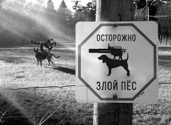 Всякие картиночки (09.04.2022)