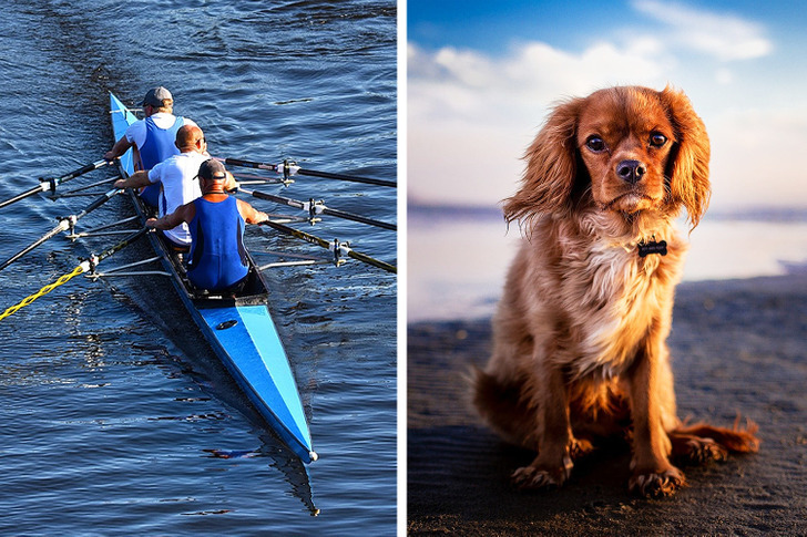 Попробуйте угадать названия популярных литературных произведений лишь по двум фотографиям
