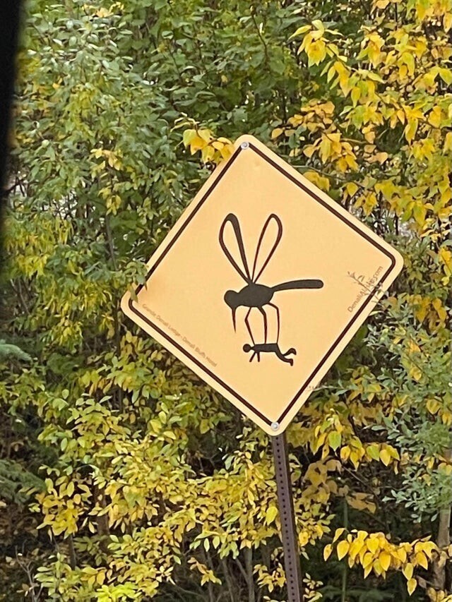 Тонкости жизни на Аляске, о которых вы не узнаете из путеводителей