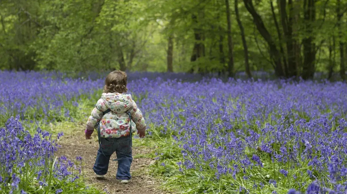 Новое пособие от Путина получат семьи с детьми от 8 до 17 лет включительно: в Новосибирской области - 6 619 рублей на ребенка, в Москве – 8 087 рублей