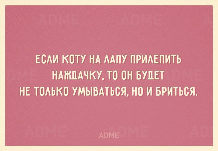 20 бесценных советов в открытках