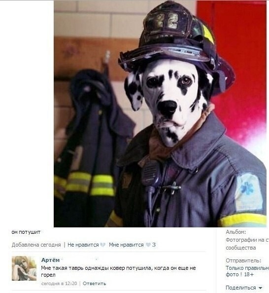 Сборная солянка из соцсетей