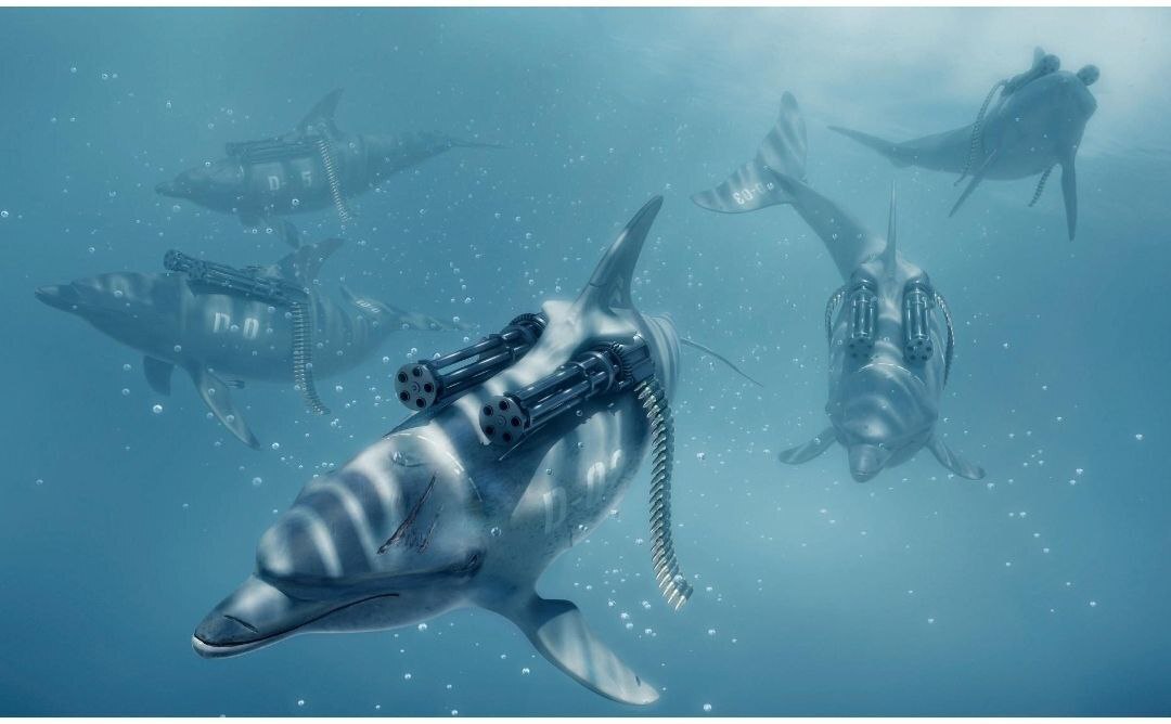 Американская разведка обвинила Россию в использовании «дрессированных боевых дельфинов» для защиты военных баз в Чёрном море (фото)