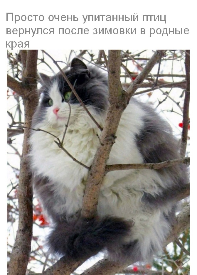 Мой девиз - ходить по солнечной стороне жизни