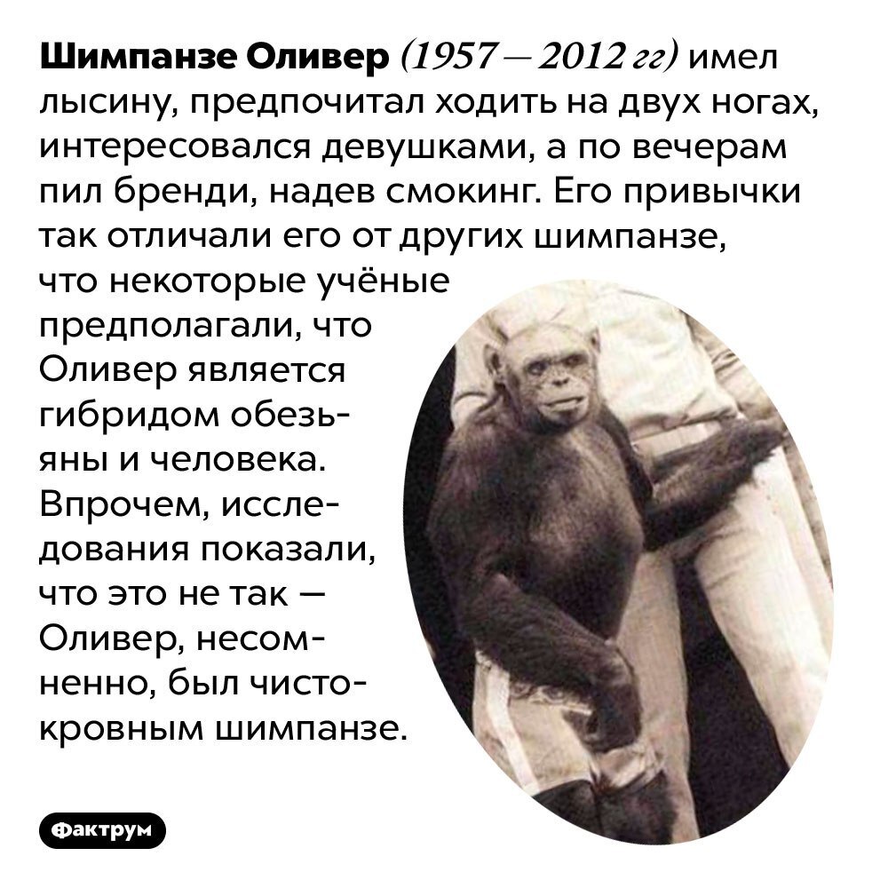 Наука и факты.